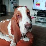 Walter avatar