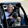 Elise: Delivering personalized care for your pet 