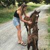 Noa: Friendly and responsible dog walker