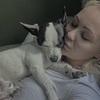 Michelle Majland: Hundepasning hvor hunden aldrig vil være alene hjemme