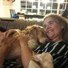 Kristine : Børnefamilie med 4 børn passer gerne ekstra hunde