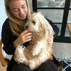Frederikke: Hundepasser med passion for hunde - Amager