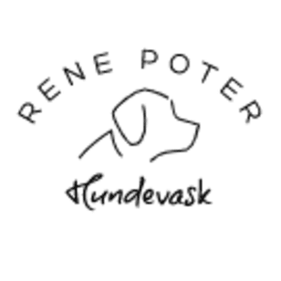 Rene avatar