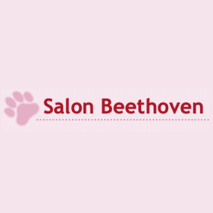Salon avatar