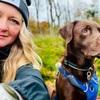 Malene Vinge: Byens og din hundepasser