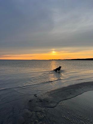 15 min kørsel til Vesterhave strand