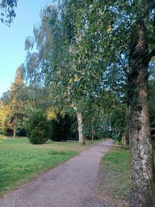 Assistens kirkegård