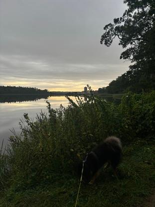 Grønt område 2 min. fra mit hjem