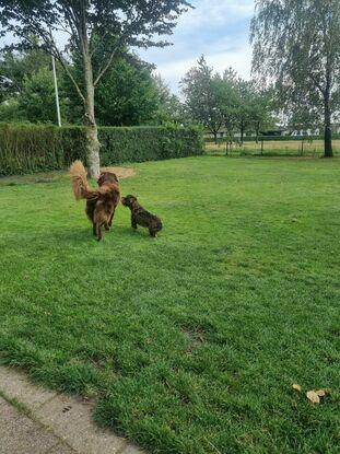 Logan and Ney