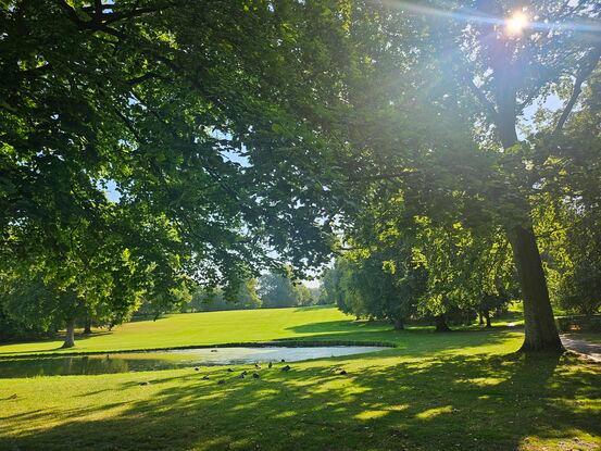 Byparken i Roskilde