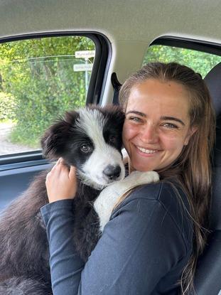 Min hund, Enzo, der er 50% border collie og 50% Australian shepherd. Født 10/4 2024