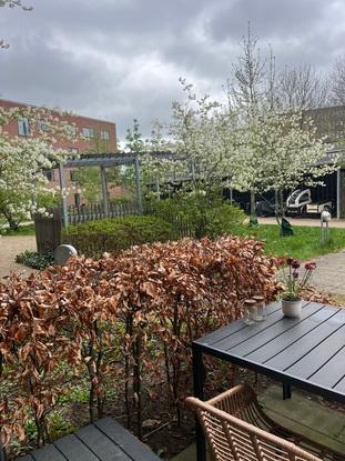 Mit hjem