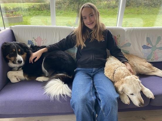 Helga med to hunde, vi passer i en weekend i vores sommerhus , vi passer