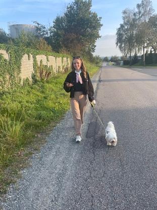 Hunden Arne til pasning