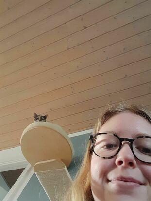 Min kat fra hendes udkigspost