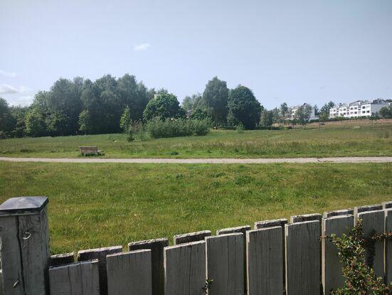 Park