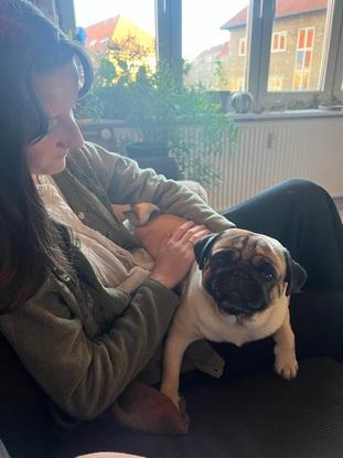 Min venindes søde hund Gene og mig 🐾
