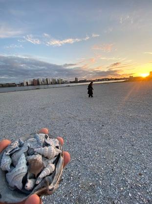 Her er stranden ude ved Stigsborg