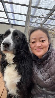 Passer naboens hund Uno