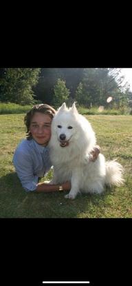 Min barndomshund