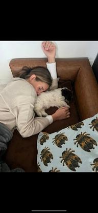 Min fars hund “Basse”