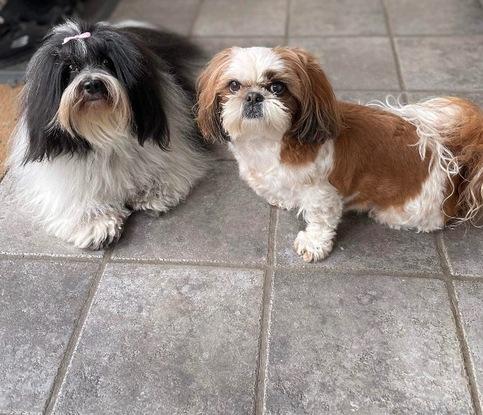 Holly & Pippi
