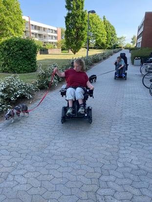 Bodil på 11 måneder og jytte 4 år fransk bulldog