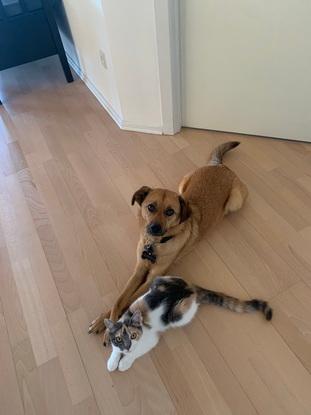 Galaya og Cleo
