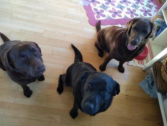 3 sisters