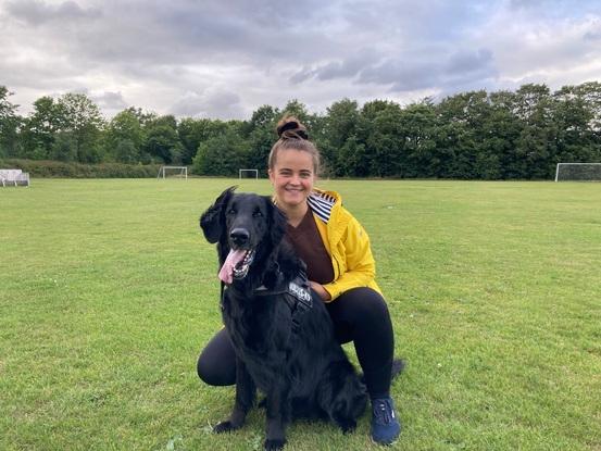 Min desværre nu afdøde hund, Obama (flatcoated retriever)