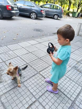 Baby - Yorkie❤️