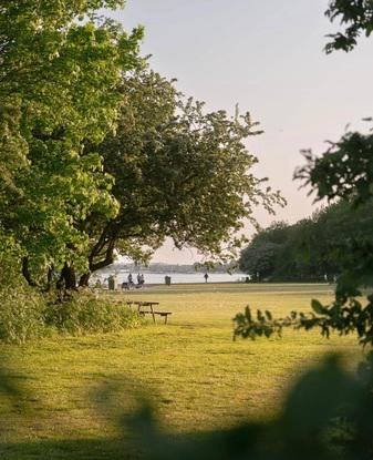 Eftermiddags tur i parken