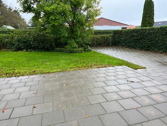 Der er hegn i hækken hele vejen rundt