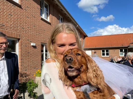 Familiens hund som jeg har passet siden den var hvalp. Hunden er nu 12 år