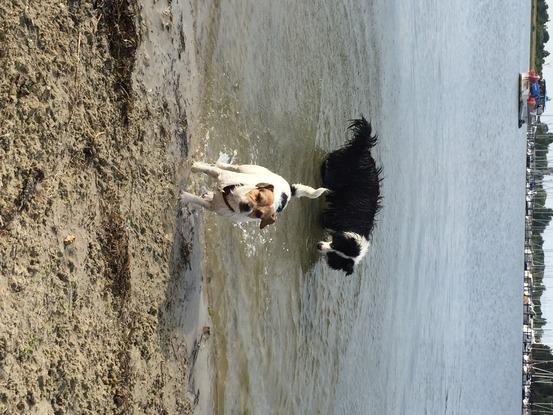 Maddie og Emma på stranden!