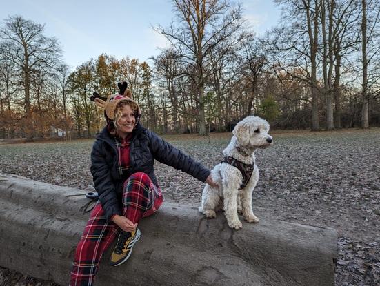 Totto elsker ture i Søndermarken 🐶