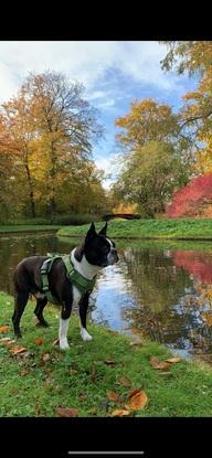 Jeg bor lige ved Frederiksberg have, der bruger jeg meget tid, da jeg elsker natur og fuglene :)