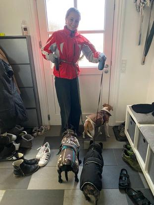 Lufter min, min fasters og min fætters hund
