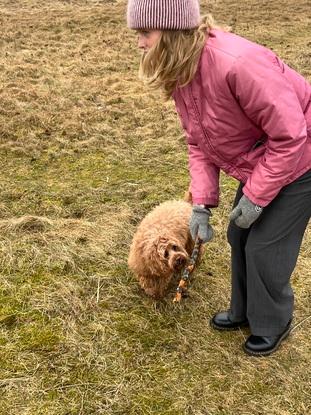 Leg står altid på skemaet! Hvilken er din hunds ynlings leg?