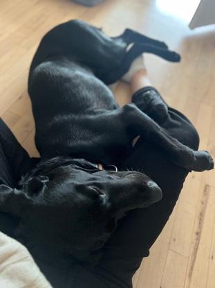 ❤️