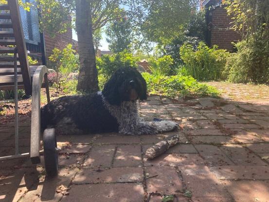 Relaxing on the terrace