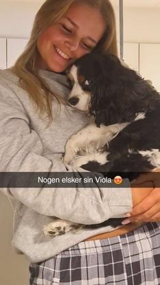 Min søsters hund