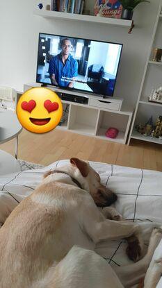 Mille 💛