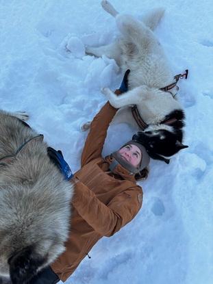 Gåtur/hygge med grønlandske slædehunde