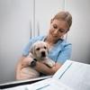 Anne Egeberg: Kærlig veterinærsygeplejerske tilbyder hundepasning