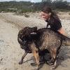 Mathilde: Erfaren hundelufter med kendskab til alle racer