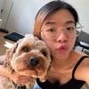 Jia wen : 🐶With me your dogs and cats is in good and safe hands🐱