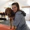 Anne Sophie : Kompetent, kærlig og pålidelig hundesitter
