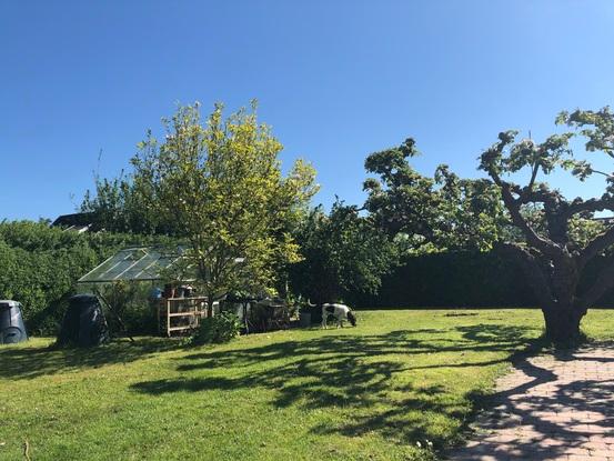 Haven der er indhegnet