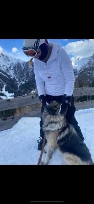 Tykpelset hundeven med på ski